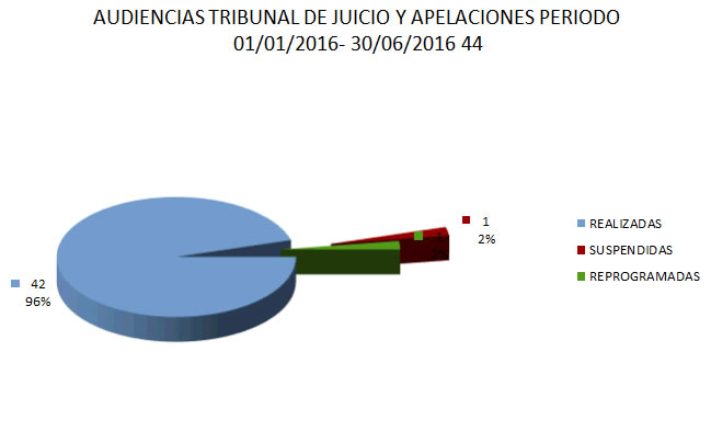 Audiencias -Tribunal de Juicio y Apelaciones
