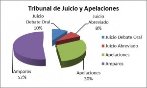 Informe TJyA 2015 - Grafico 2